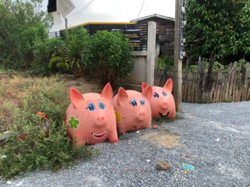 61B4F142-0BD5-436D-8F70-44BDA75EE8A8